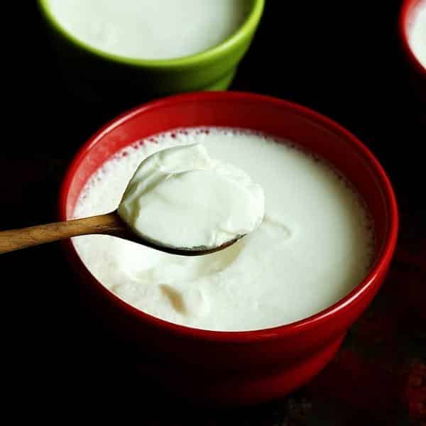 Curd